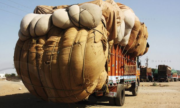 SIMA hails the cabbotage rule relaxation for cotton transport