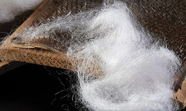 Spinnova’s to globally commercialise pulp based textile fibre