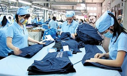 Vietnam garment firms sustain growth in traditional markets
