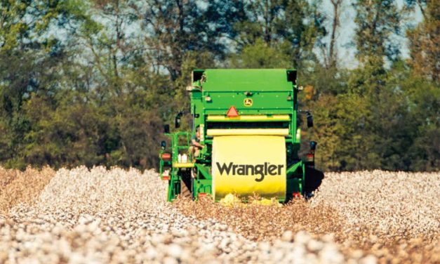 Wrangler® report shows potential of sustainability data in agricultural supply chains