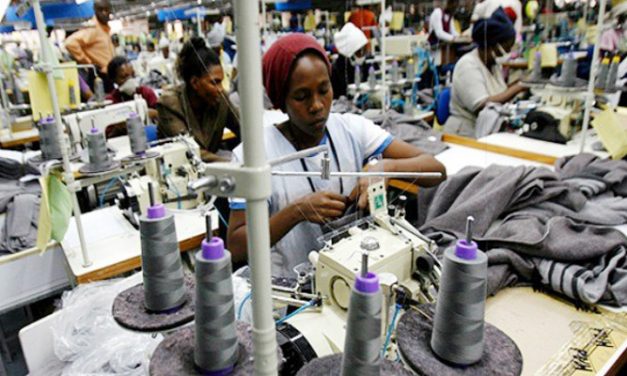 Textile exports to the US stagnate, macadamia up