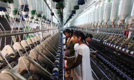 TEA appeals mills to save knitwear export sector