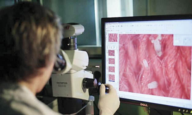 New Hohenstein test laboratory in Bangladesh