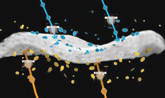 Polartec launches the upgraded Power Fill insulation