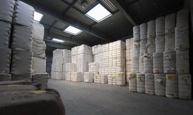 US cotton exports in 2017-18 highest in over a decade