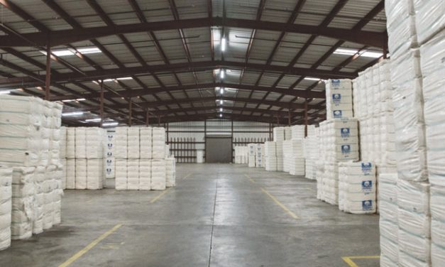 US cotton exports highest since 2005-06