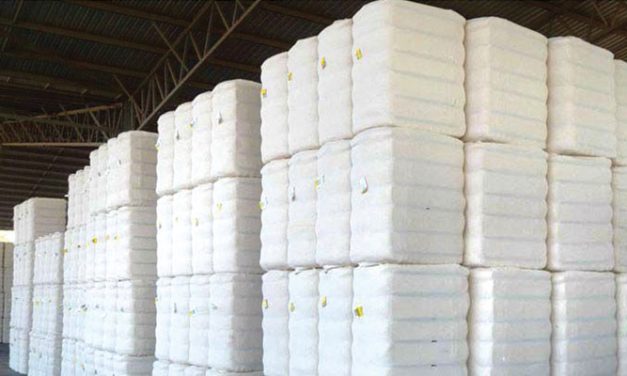 Cotton arrival at ginneries cross 6 mn bales