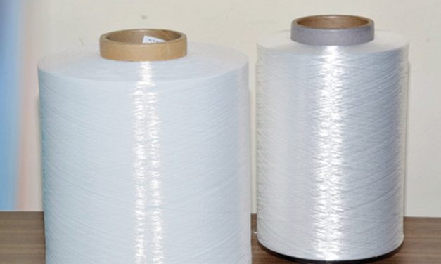 India imposes duty on nylon filament yarn from Vietnam, EU