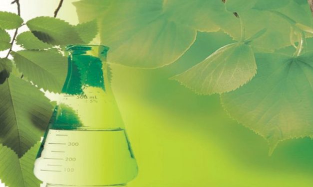 Petrochemicals policy to focus on sustainability