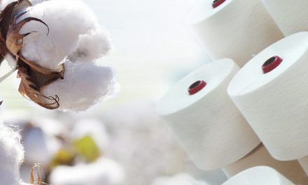26 per cent growth registered in cotton textile export