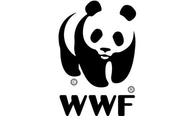 Veitnam textile industry joins hands with WWF