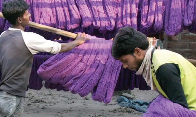 CITI expects Budget to boost textile consumption