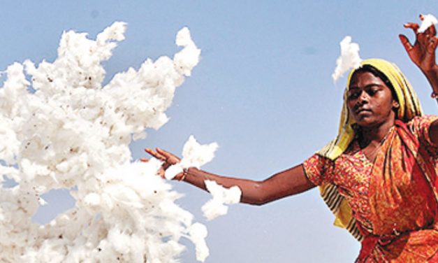 Indian cotton sector losing with tariff issues