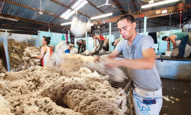 Australian wool market remains dull