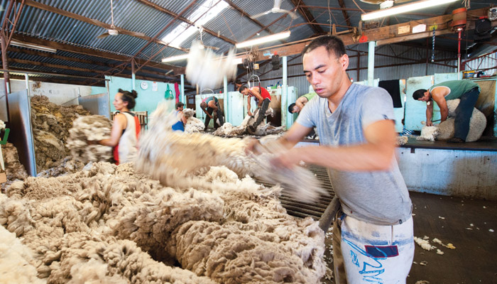 Australian wool market remains dull