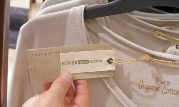 Organic apparel to be next big thing