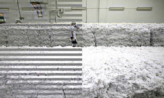 Vagmi Cottons to build ginning unit in Zambia