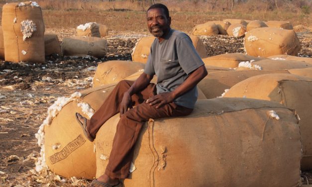 Africa turns largest cotton source for Bangladesh