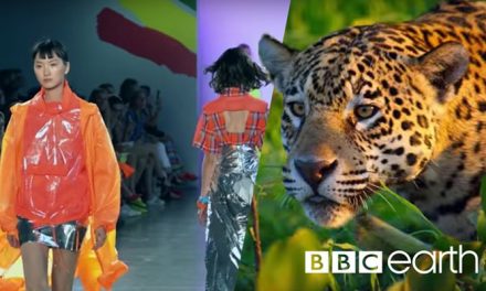 BBC Earth debuts ‘circular’ fashion collection