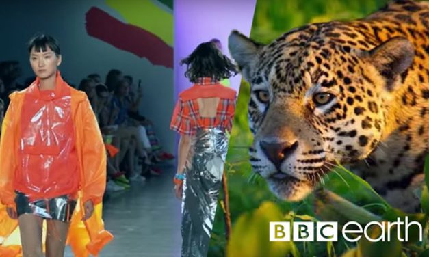 BBC Earth debuts ‘circular’ fashion collection