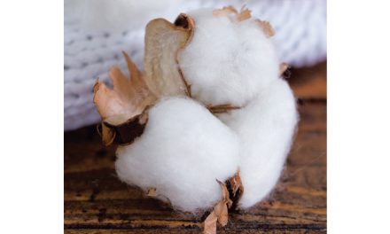 CCI highlights US cotton’s sustainability