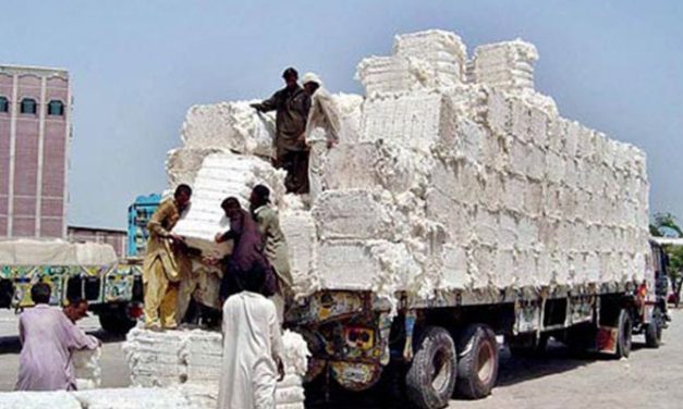 Pak making efforts to achieve target of 15 mn cotton bales