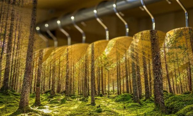 Sustainability in fashion slowed by a third