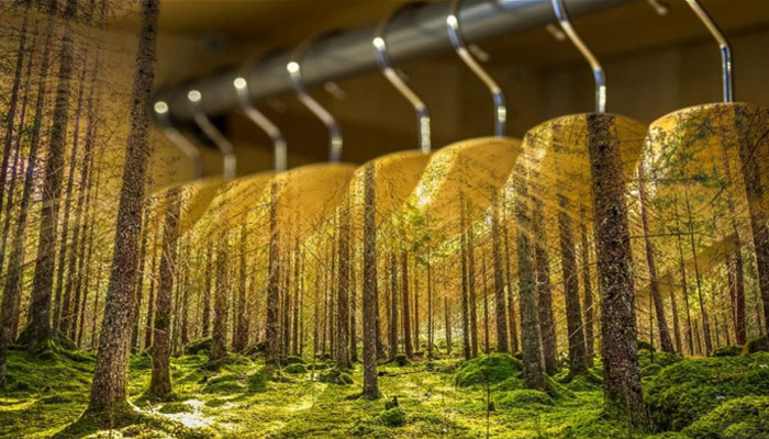 Sustainability in fashion slowed by a third