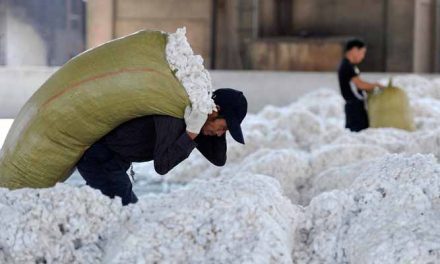 China Cotton Association to request waiver from import tariffs on US