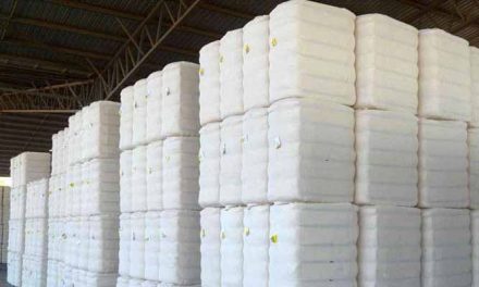 Cotton imports of India to rise to 22 lakh bales