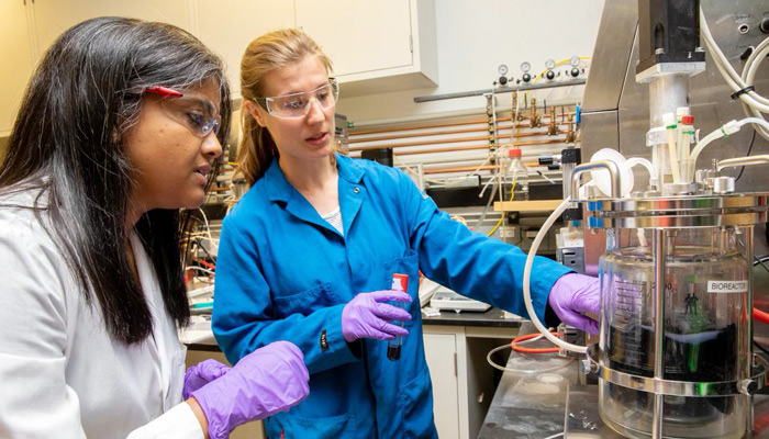 JBEI develops eco-friendly production platform for producing blue pigment