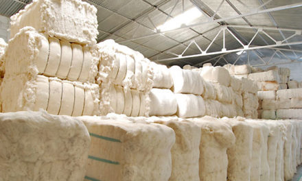 World cotton trade and stocks higher in 2019-20