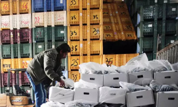 Garment imports from Bangladesh under monitor by DRI