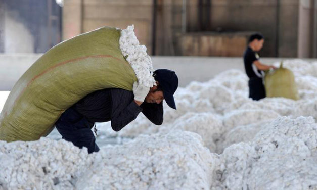 China needs to triple its cotton imports