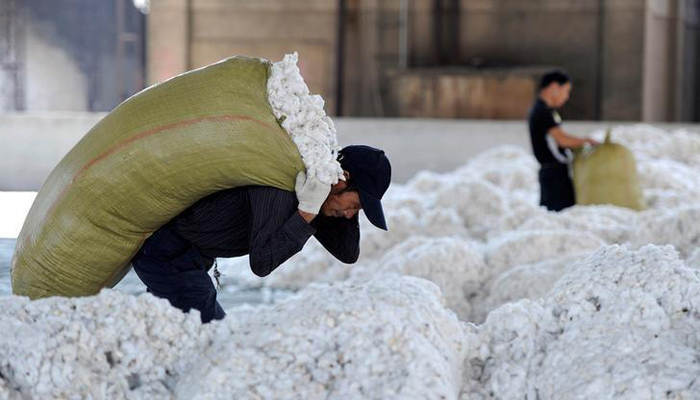 China needs to triple its cotton imports