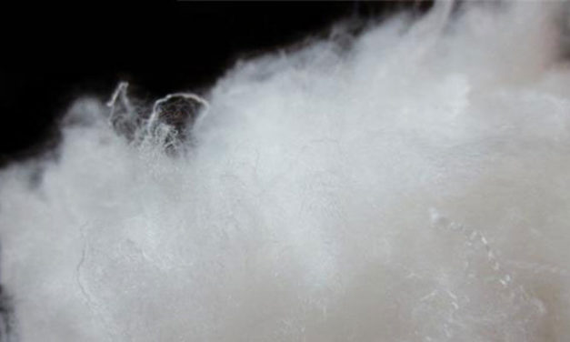 Exports of Nylon staple fibre grows in 2016-18