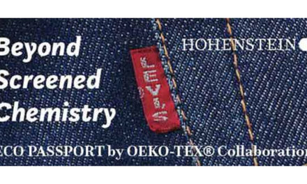 Levi Strauss and Hohenstein collaborate