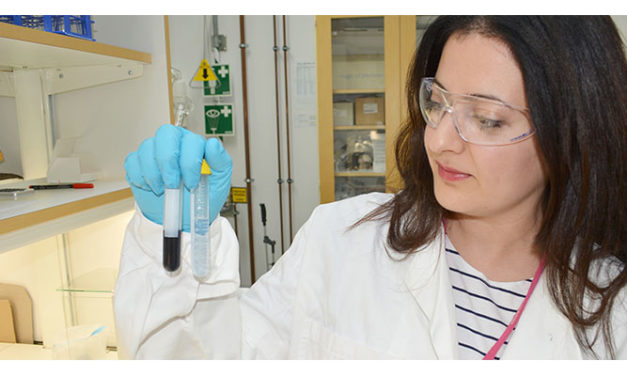 Scientist develop ways for degrading the dyes