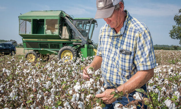 BCI, IDH unveil new challenges