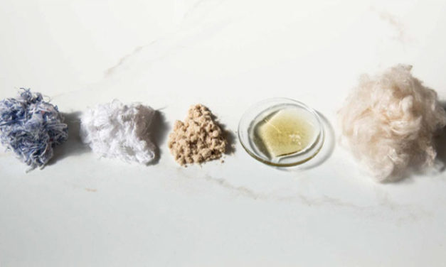 Fibre production at an all-time high globally