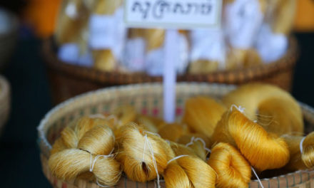 Japanese firm interested in investing in Cambodia’s silk production