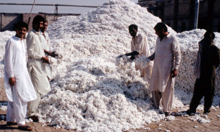 Reduction in cotton arrival at ginneries in Pakistan