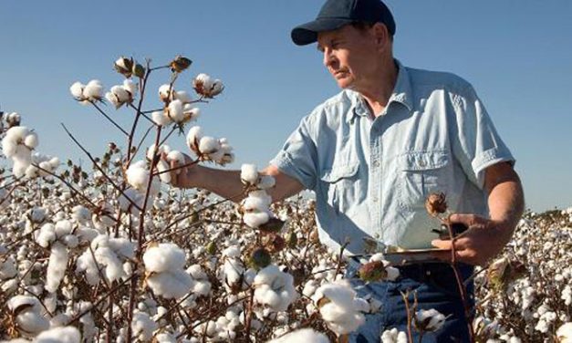 Indonesian textile mills are set to purchase an additional US Cotton