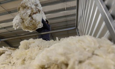 Australian wool exchange EMI lost 2 percent