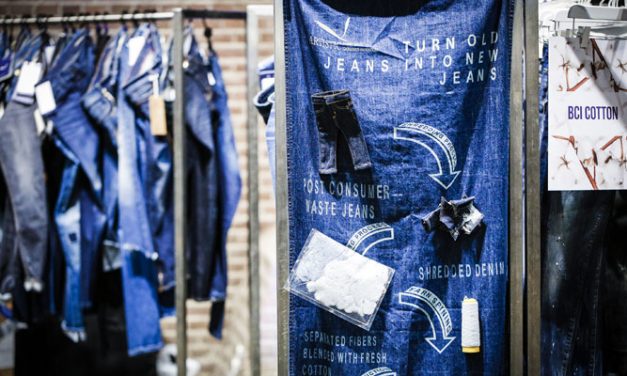 Kingpins Transformers changed to Transformers Foundation