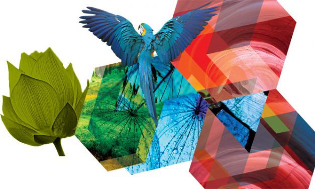 Kornit Digital brings On-Demand Eco-Fashion technology to Pure Origin