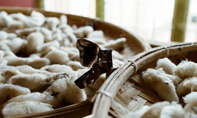 Himachal Organic firm to set up 2 silk processing centres