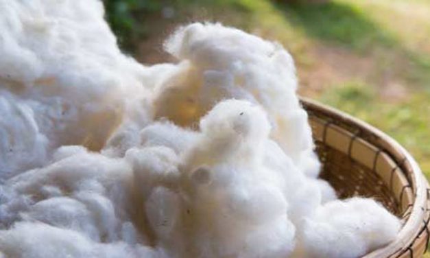 India the alternative supply source of raw material for Vietnam