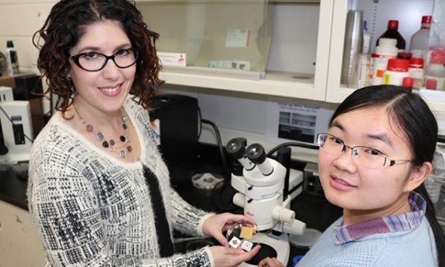 Light emitting fabric with gold coating developed by Canadian Scientists