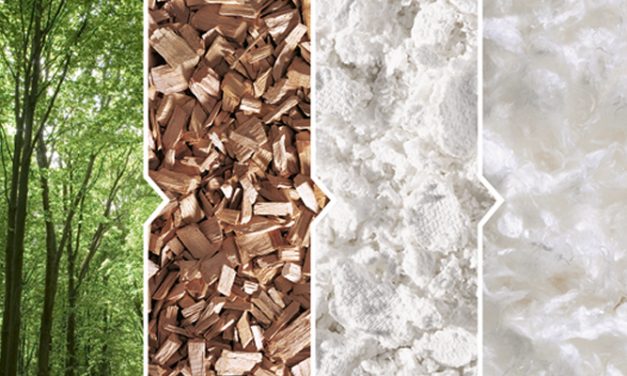 Consumers Consider Wood as a Sustainable Textile Raw Material